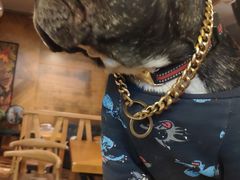 -萌喵咖啡屋(人民东路4号口M16商铺店)