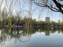 -青城公园