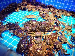 河蟹-万象·复兴号鲜肉烤肉海鲜自助(升级店)