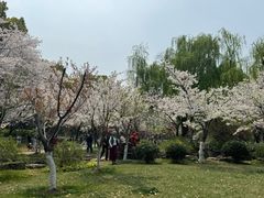 -范蠡湖公园