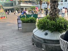 -蔡澜Pho·越南粉餐厅(海上世界店)