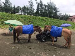 -台山黑沙湾海浴场