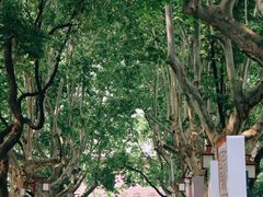 -浙江省杭州高级中学(贡院校区)