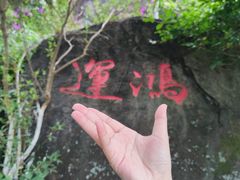-天鹿湖森林公园