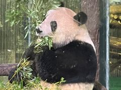 -上海野生动物园