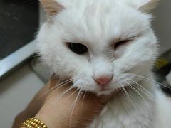 -康乐宝动物医院