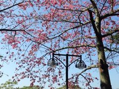 -广州大学华软软件学院新闻中心