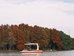 -上海海湾国家森林公园