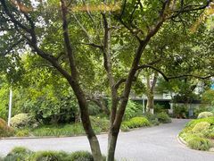 -浙江西子宾馆·瑶园咖啡厅