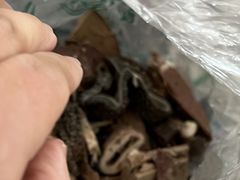 羊杂-洪记白水羊头(天坛店)
