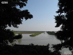 -大湾区中央湿地公园