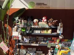 -LOOOAD COFFEE进度条(D9街区店)