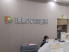 -瑞鹏宠物医院·骨外科·心肾科·肿瘤科(九亭店)