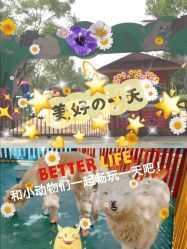 -萌宠亲子动物乐园(槐房万达店)