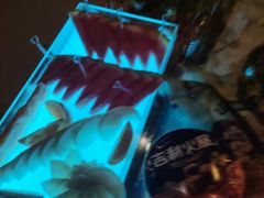 -阿曼达主题KTV(南湖都会店)