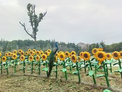 -常州淹城野生动物世界
