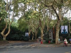 门面-杭州西湖风景名胜区-北街寻梦
