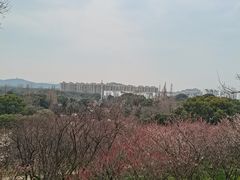 -无锡梅园公园