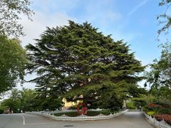 -青岛德国总督楼旧址博物馆