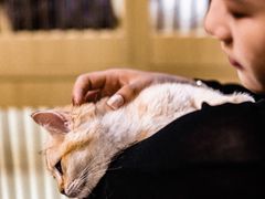 -猫宠乐园·专业洗护
