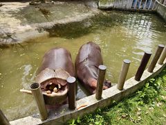 -常州淹城野生动物世界