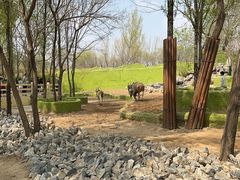 -北京野生动物园