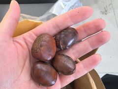 -高记桂花糖炒栗(鼓楼店)