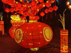 -南宫五洲植物乐园