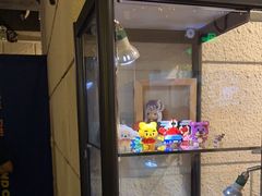 -逃脱反斗城沉浸剧情密室(北京路店)