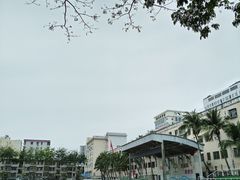 -三亚市第二中学