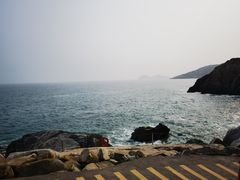 -广东惠东海龟国家级自然保护区