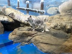 -顺德南宏海立方海洋公园