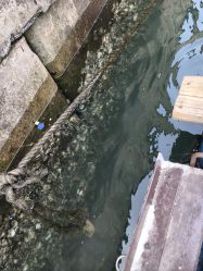 -星海水上乐园(星海广场圣亚店)