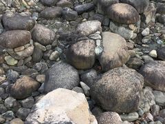 -白塘生态植物园