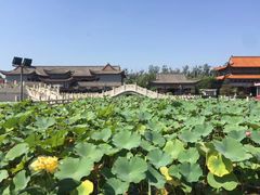 -大悲禅寺