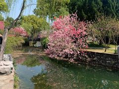 -惠山古镇·寄畅园