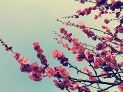-桂溪生态公园