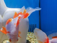 -合肥海洋世界