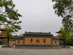 -台儿庄古城