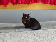 -龙华素斋(龙华路店)