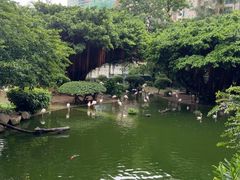 -九龙公园