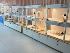 -翊宠yipet猫狗购宠庄园犬舍•猫舍