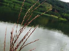 -王家小院