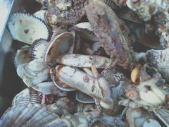 -雅逸居海鲜小厨