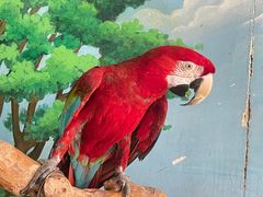 -石家庄市动物园