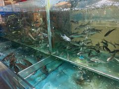 -金龙渔港(双楠店)