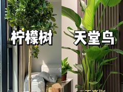 -居丽装饰空间设计(总部)