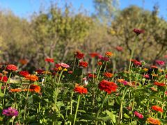-永定河休闲森林公园