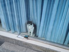 -嘎嘎鸭脑壳(金琴店)