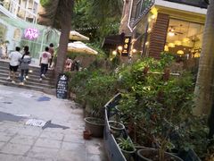 景观位-有猫主题·治愈系猫咖(曾厝垵店)